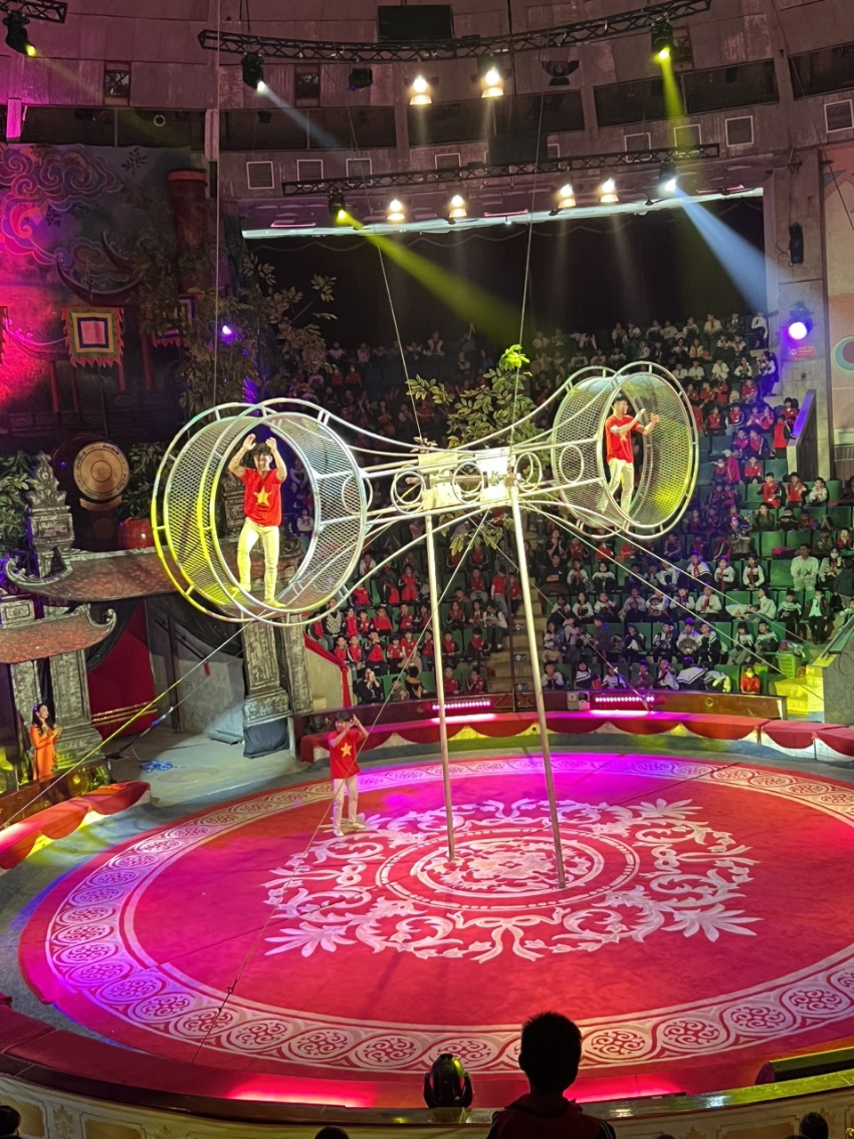 z5266823131006 78e76314aa78160e6b6d4eae18077e45