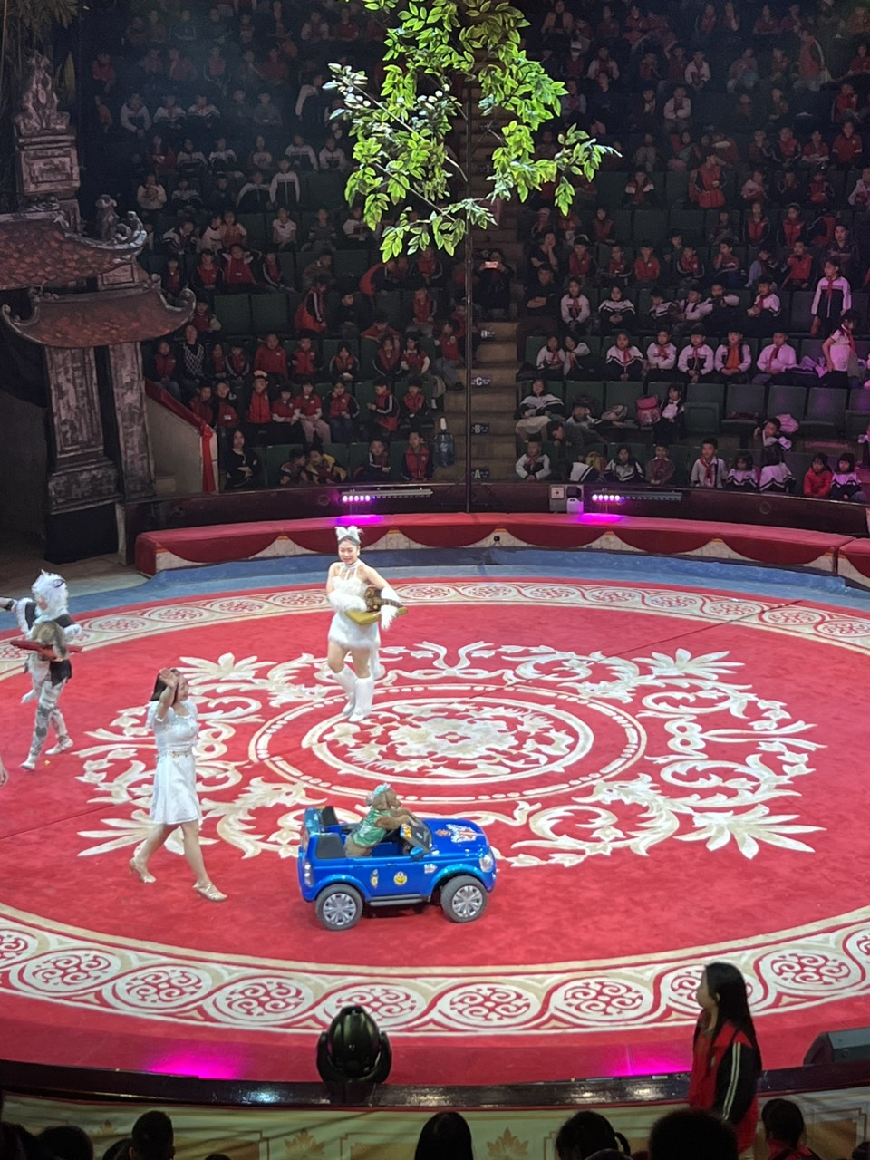 z5266823167974 2130c7d9a7619d5f556156508e2a1405